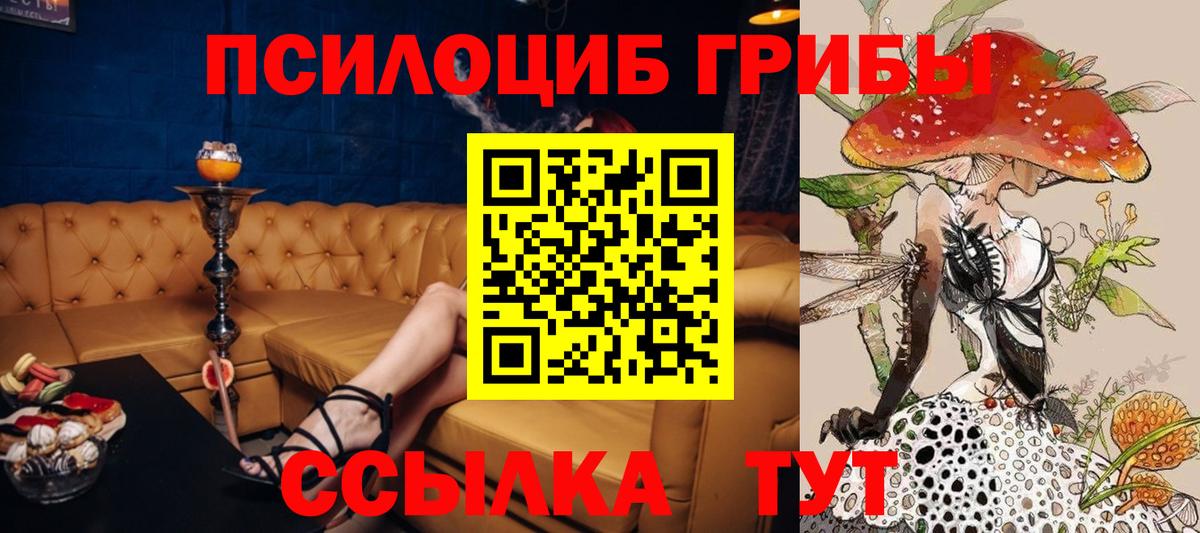 Сегежа  Псилоцибиновые грибы Cubensis  Вход с VPN  Псилоцибиновые грибы Cubensis 